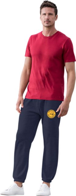 Averett University Cougars Pants
